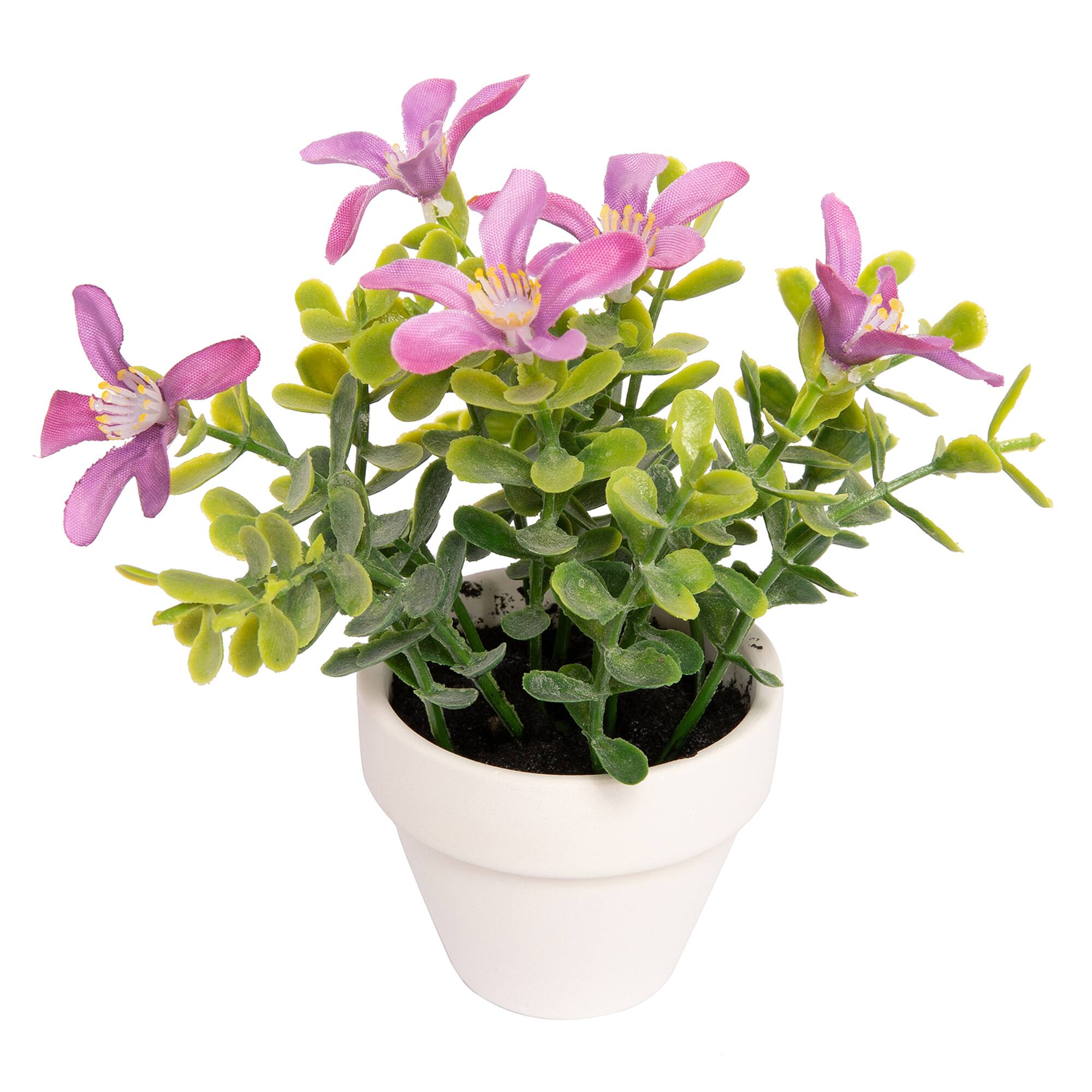 Assorted Micro Premade Flowering Plant, 1pc. by Ashland®